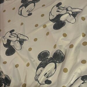 Mickey and Minnie shower curtain